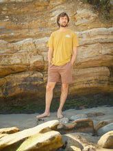 Load image into Gallery viewer, SUMMER SHORTS | AMERICAN SPIRIT - MOLLUSK SURF
