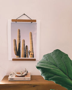 SAGUARO SISTERS PRINT - ALBANY KATZ PHOTOGRAPHY