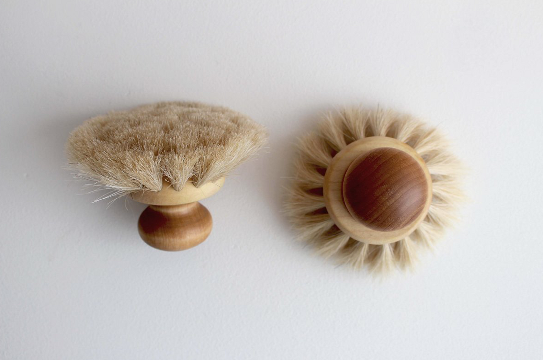 DISH BRUSH WITH ROUND KNOB - HUMBLE & GRAND