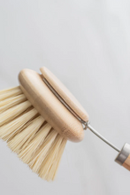 Load image into Gallery viewer, CASA AGAVE™ LONG HANDLE DISH BRUSH W/ REMOVABLE HEAD - NO TOX LIFE
