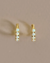 Load image into Gallery viewer, KASAI EARRINGS - MOUNTAINSIDE JEWLERY
